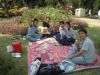 Rajabhat Institute Cell Group